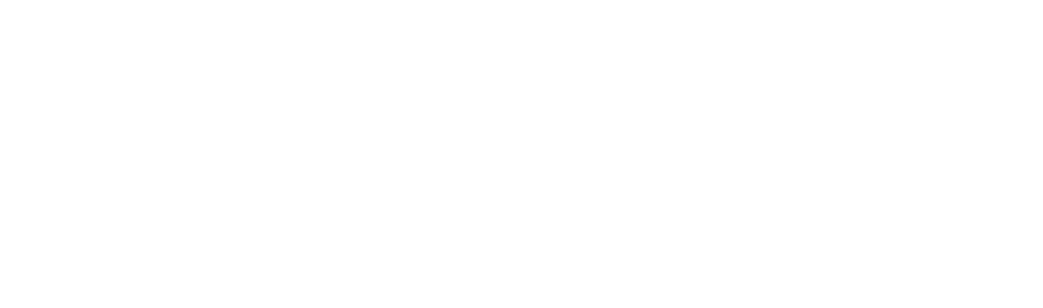 SyntheticFM test site